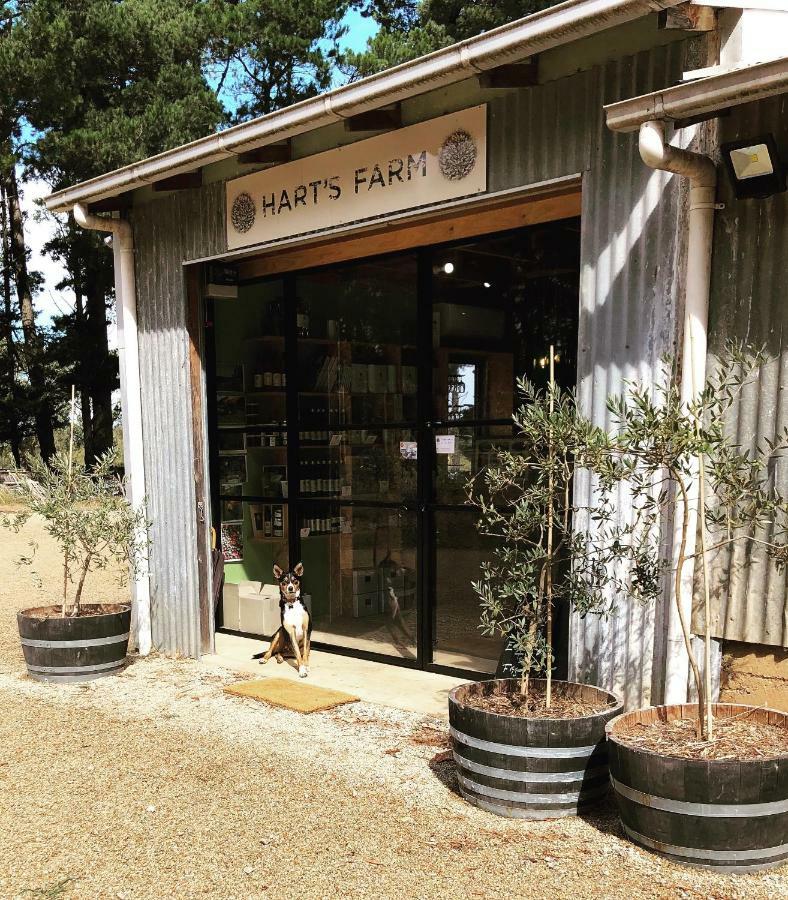 Hart'S Farm Acomodação com café da manhã Shoreham Exterior foto